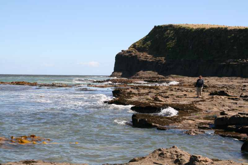 Nieuw-Zeeland 2011 - 1821